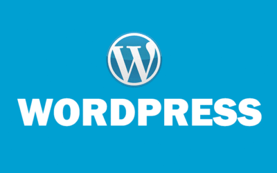 From Zero to Hero: How a Skilled WordPress Developer Can Transform Your Website