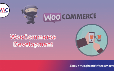 Unleash the Power of Woo-Commerce Customization: A Step-by-Step Guide