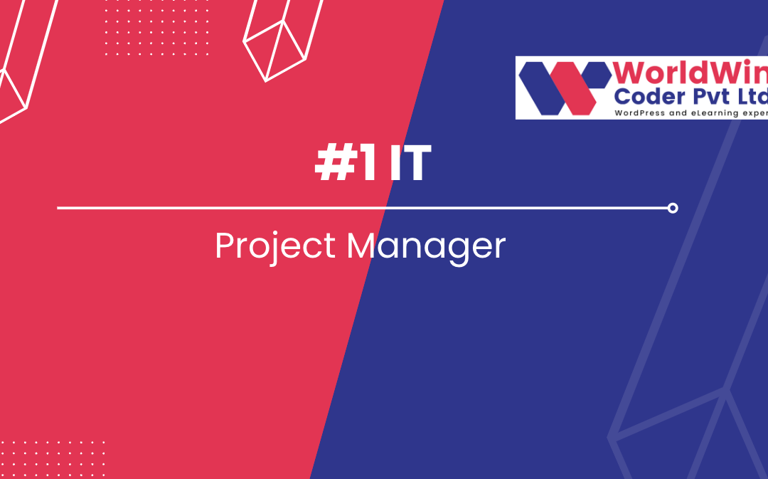 What is Project Manager in IT and his Role?