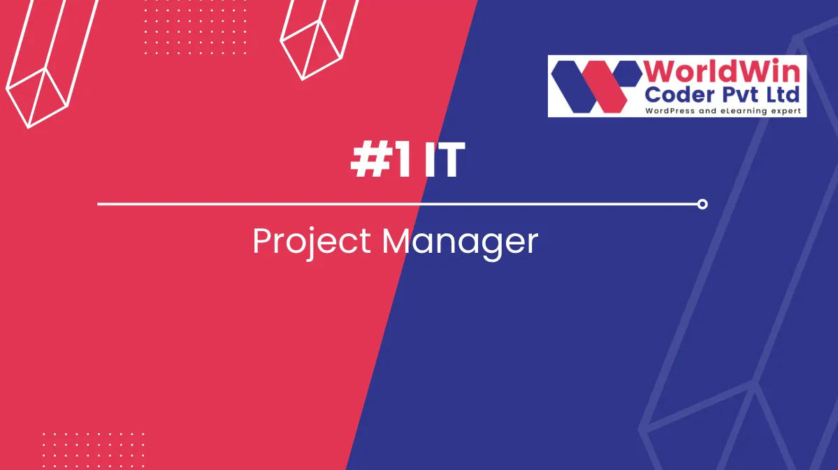 what does a project manager do in it