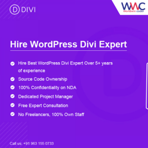 Hire WordPress Divi Expert - Developer - WorldWinCoder